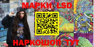 mdpv Гусев
