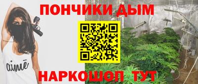 спиды Гатчина