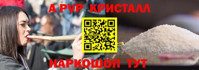 спиды Гатчина